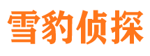 东明市私家侦探